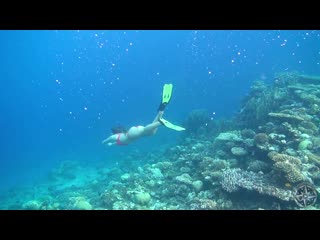 A walk among corals Model Steppe Flower Camera Cinderella Girl - смотреть видео онлайн